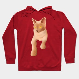 lilac burmese cat with yellow eyes Hoodie